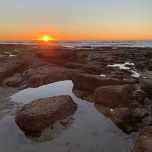 Meet your Posher, Cali